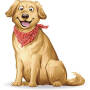 icon Dog & Puppy Training(Köpek ve Köpek Eğitimi
)