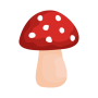 icon Shroomify Mushroom ID(Shroomify - Mantar Tanımlayıcı)
