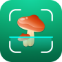 icon Mushroom Identifier()