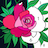 icon Daily Color(Günlük Renk - Numaraya Göre Renk) 1.3.4