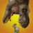 icon Jurassic Survivor(Jurassic Survivor: Evolved) 3.75