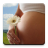 icon ru.fedr.pregnancy(Hamilelik Takvimi) 2.4.1