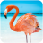 icon The Flamingo(Flamingo
) 1.0.4