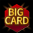 icon BigCard(BigCard
) 3.3