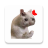 icon Stickers Cats Memes(Cat Memes Etiketler WASticker) 2.2.0