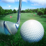 icon Golf Master(Golf Ustası 3D)