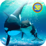 icon Orca Family Simulator(Orca Ailesi Simülatörü)
