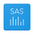 icon Analytics(SAS Görsel Analitik) 2023.11.0