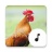 icon Chicken Sounds(Horozu sesler) 4.1.6