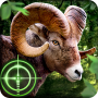 icon Wild Hunter 3D (Vahşi avcı 3d)