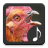 icon Chicken Sounds(Horozu sesler) 3.1.5