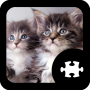 icon Cats & Kittens Puzzle(Kediler ve Yavru Bulmaca)