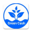 icon Green Cash(Yeşil Nakit
) 1.04.2022