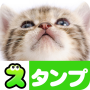 icon Cat Stickers(Kedi Çıkartmaları)