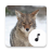 icon Coyote Sounds(Çakal Sesler) 4.1.6