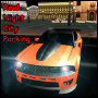 icon Real Night City Parking()