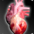 icon Circulatory System in 3D Anatomy(Dolaşım Sistemi 3D Anatomi) 1.9.5