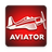icon Aviator(Aviator Spribe Oyunu
) 1.0