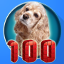 icon 100 Animals for toddlers(100 Hayvan sesleri ve resimleri)