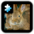 icon Rabbit(Yapboz: tavşan) 2.0