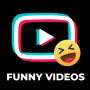 icon Funny Video(Yılan Komik - Kısa Videolar)