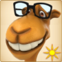icon Magic Camel(Sihirli deve)
