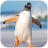 icon Talking Penguin(Konuşan Penguen
) 1.1.0