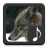 icon Coyote Sounds(Çakal Sesler) 3.1.0