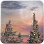 icon Snowfall Free(Kar Yağışı Ücretsiz Canlı Duvar Kağıdı)