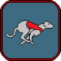 icon Greyhound Dog Race (Tazı Köpek Yarışı)