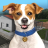 icon Animal Shelter Simulator(Hayvan Barınağı Simülatörü
) 1.072