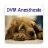 icon DVM Anesthesiology(DVM Anesteziyolojisi) 3.05