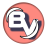 icon Basic VPN(Temel VPN
) 2.1.1