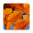 icon Autumn Live Wallpaper(Sonbahar Canlı Duvar Kağıdı HD) 1.0.5