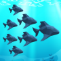 icon Crowd Fish 3D(Kalabalık Balık 3D
)