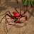 icon Life of Phrynus(Phrynusun Yaşamı - Whip Spider) 1.1