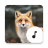icon Fox Sounds(Tilki sesleri) 4.1.6