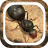 icon The Ants Underground Kingdom Beginner Guide(Karıncalar Yeraltı Krallığı Başlangıç ​​Rehberi
) 1.0.0