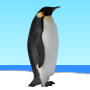 icon Flying penguin(Uçan penguen)