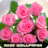 icon Rose Wallpapers(Güller Çiçek Duvar Kağıtları V2) 2.0.2