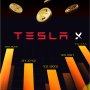 icon Tesla X(Tesla X - Yatırımlar
)