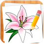 icon Draw Flowers(Çiçekler nasıl çizilir)
