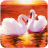 icon The Swan(Kuğu
) 1.0.9