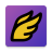 icon 30.24