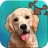 icon Jigsaw Puzzles(Yapboz Bulmacalar) 1.3.2