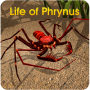 icon Life of Phrynus(Phrynusun Yaşamı - Whip Spider)