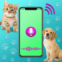 icon Dog & Cat Translator(Köpek Kedi Çevirmen: Evcil Hayvan Sohbetleri)