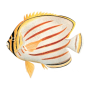icon ThatQuiz(Öğrenin ThatQuiz)