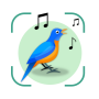 icon Bird Song ID(Kuş Sesi Tanımlayıcı Kuş Kimliği)