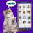icon Cat Sound Prank Sim Translator(Kedi Sesi Çevirmeni Prank Sim) 0.0.3